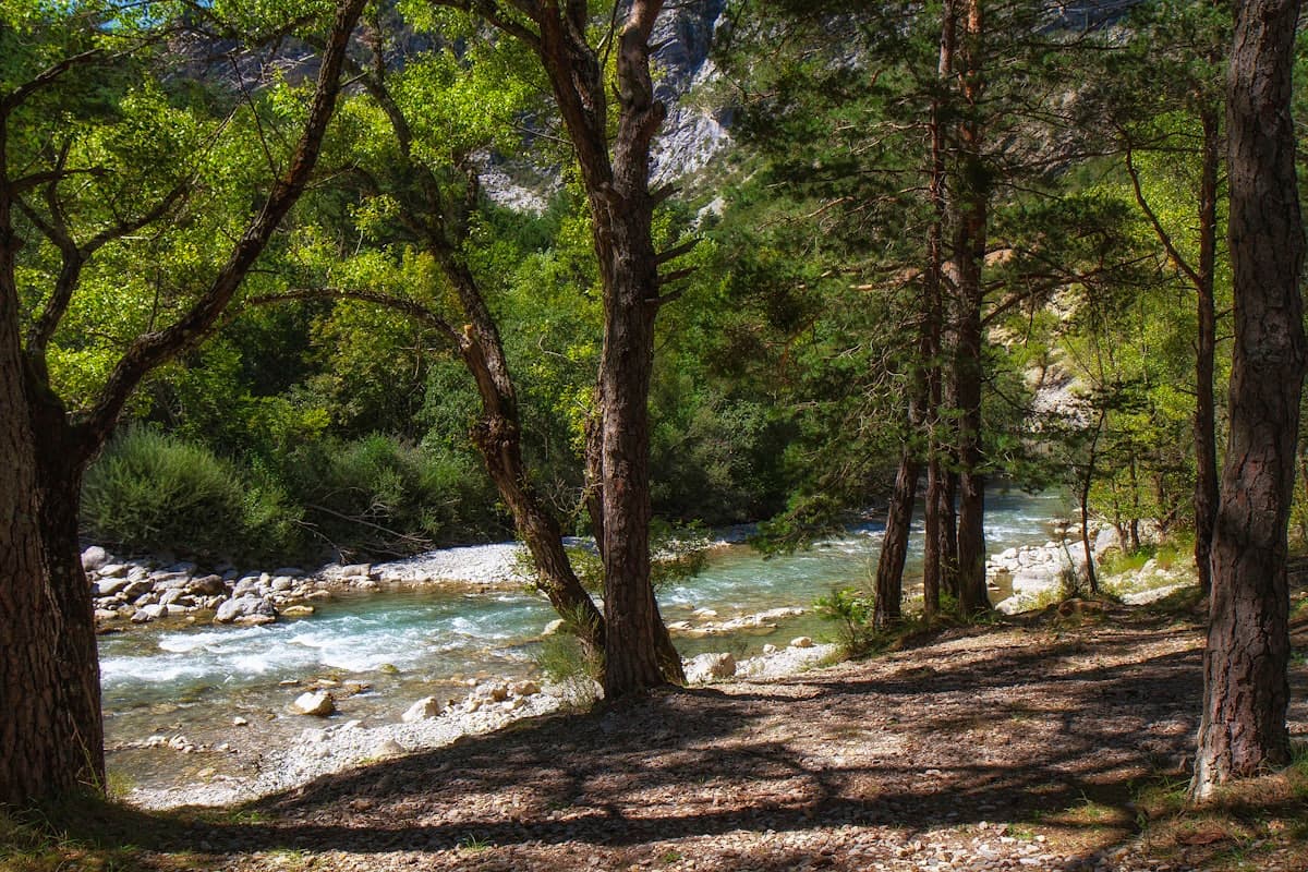 Randonnées dans le massif de la Sainte-Baume : les 8 plus beaux itinéraires