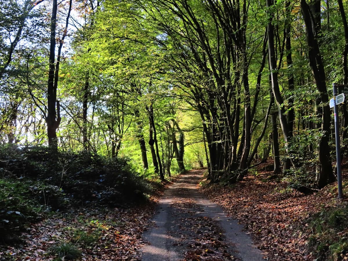 Getting back into hiking after a break: a 4-week progression plan