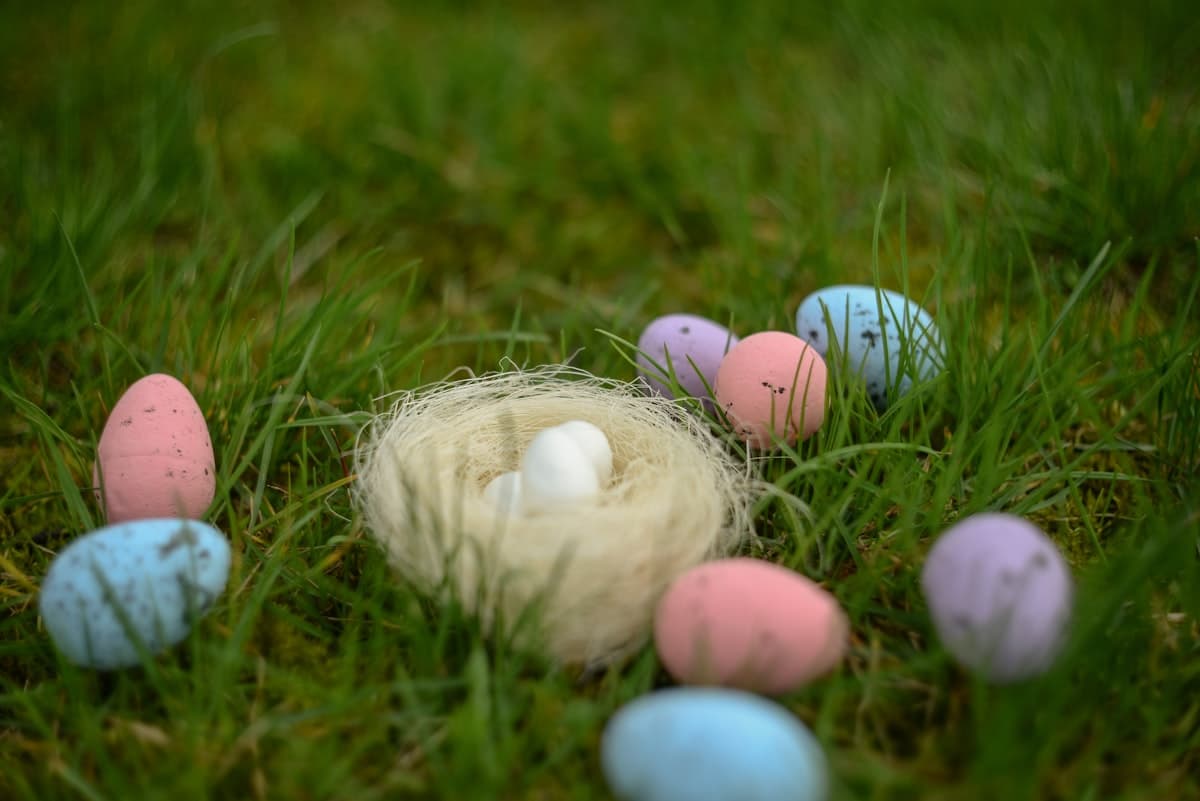8 randonnées pour les vacances de Pâques en Provence
