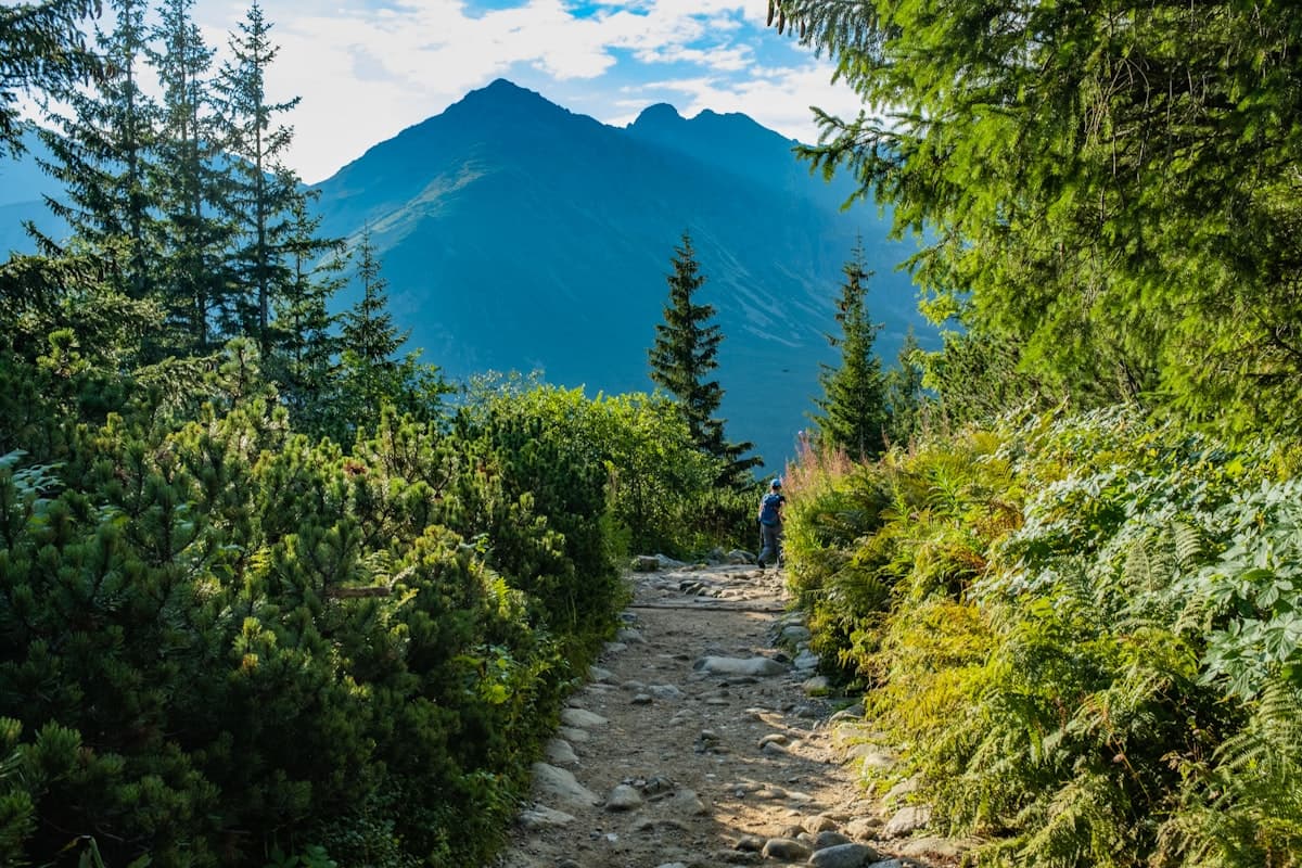 How to Calculate Elevation Gain and Difficulty of a Hike