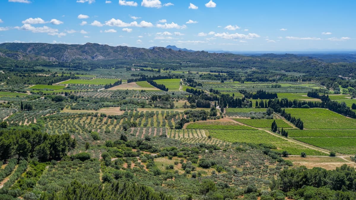Itinerary: Crossing the Alpilles in 2 Days