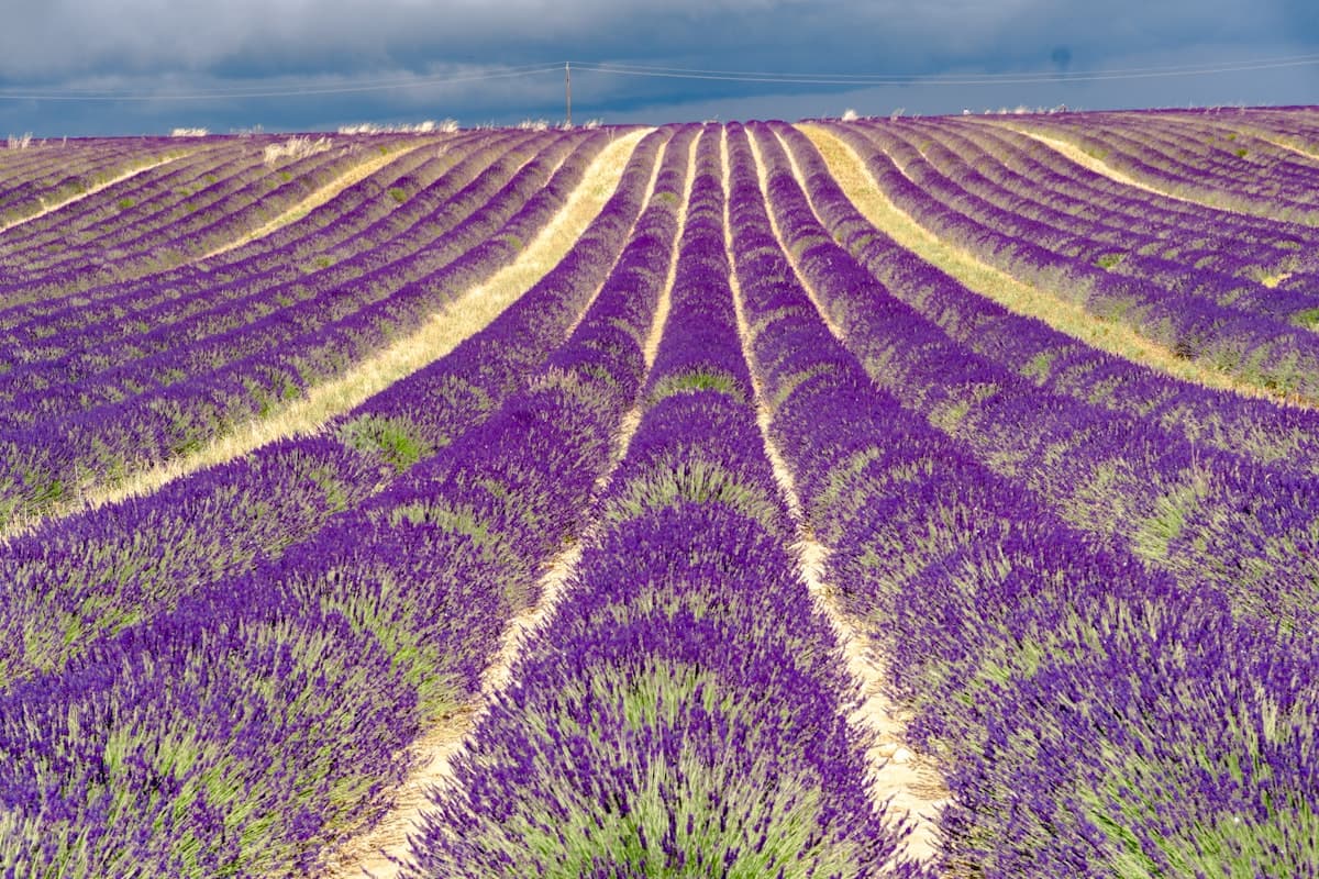 Bien préparer sa première randonnée en Provence : le guide pratique