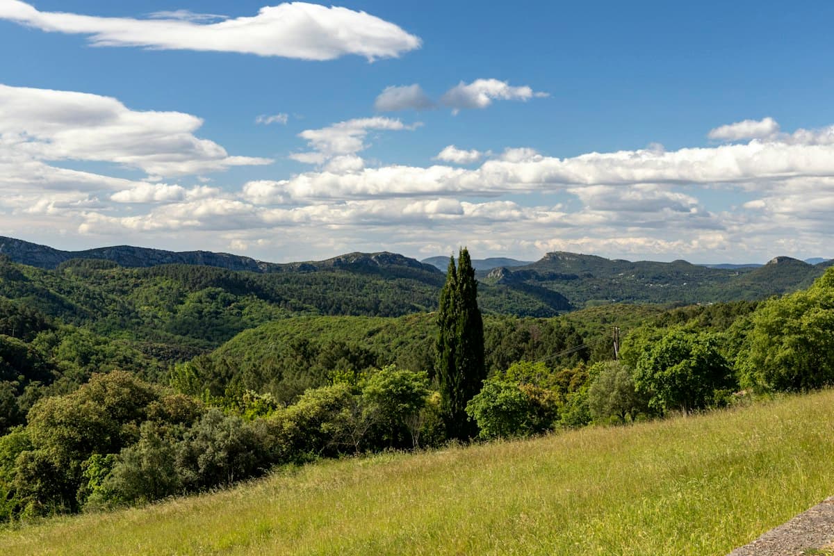 Randonnées faciles autour d'Aix-en-Provence : Concors, Trevaresse et Arbois