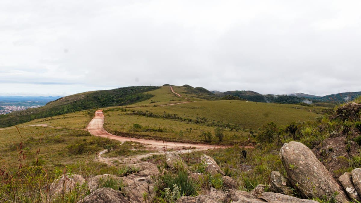 Randonnées dans les Monts de Vaucluse : gorges, bories et plateaux de lavande