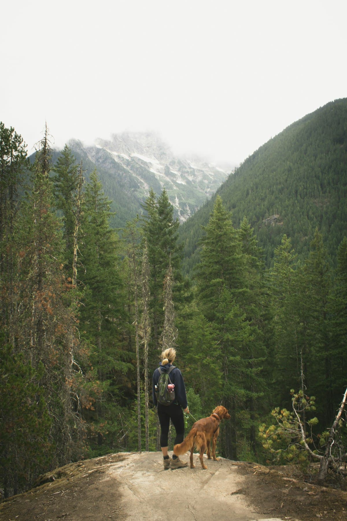 Randonner avec son chien : le guide complet